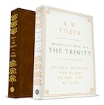 MEDITATIONS ON THE TRINITY