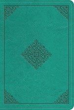 ESV VALUE LARGE PRINT COMPACT BIBLE-TEAL ORNAMENT DESIGN TRUTONE (Order #9798874903046)
