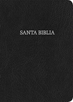 RVR 1960 BIBLIA COMPACTA LETRA GRANDE (LARGE PRINT COMPACT BIBLE)-BLACK BONDED LEATHER
