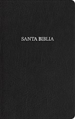 RVR 1960 BIBLIA COMPACTA LETRA GRANDE (LARGE PRINT COMPACT BIBLE)-BLACK BONDED LEATHER INDEXED