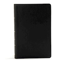KJV LARGE PRINT PERSONAL SIZE REFERENCE BIBLE-BLACK LEATHERTOUCH INDEXED