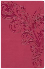 KJV LARGE PRINT PERSONAL SIZE REFERENCE BIBLE-PINK LEATHERTOUCH INDEXED