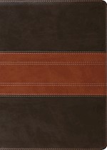 ESV STUDY BIBLE/LARGE PRINT-FOREST/TAN TRAIL DESIGN TRUTONE