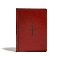 KJV SUPER GIANT PRINT REFERENCE BIBLE-BROWN LEATHERTOUCH