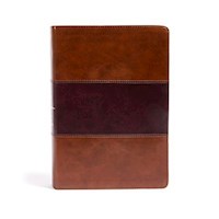 KJV SUPER GIANT PRINT REFERENCE BIBLE-SADDLE BROWN LEATHERTOUCH INDEXED)