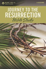 JOURNEY TO THE RESURRECTION (ROSE VISUAL BIBLE STUDIES)