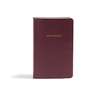 KJV GIFT & AWARD BIBLE-BURGUNDY IMITATION LEATHER