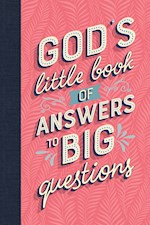 GOD'S LITTLE BOOK OF ANSWERS TO BIG QUESTIONS