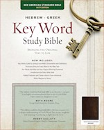 NASB 1977 HEBREW-GREEK KEY WORD STUDY BIBLE-BROWN GENUINE GOATSKIN LEATHER