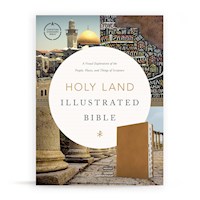 CSB HOLY LAND ILLUSTRATED BIBLE-GINGER LEATHERTOUCH INDEXED