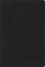 RVR 1960 BIBLIA DE ESTUDIO ARCOIRIS (RAINBOW STUDY BIBLE)-BLACK IMITATION LEATHER 