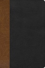 RVR 1960 BIBLIA DE ESTUDIO ARCOIRIS (RAINBOW STUDY BIBLE)-TAN/BLACK IMITATION LEATHER INDEXED